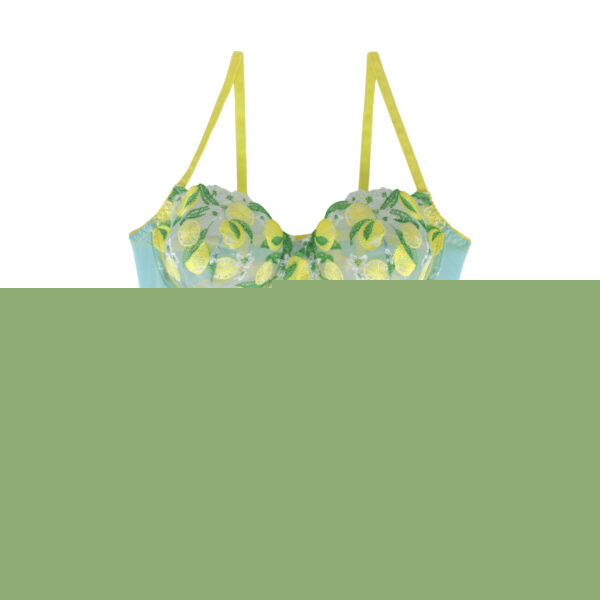 ست شورت و سوتین توری فنردار ژینا گلدوزی کد 1148